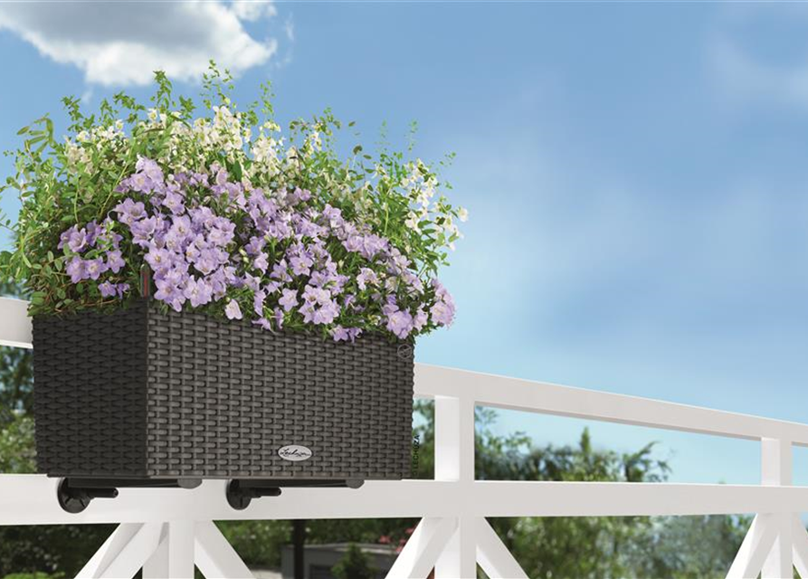 Jardinière Lechuza Balconera Cottage L80 H19 cm granit