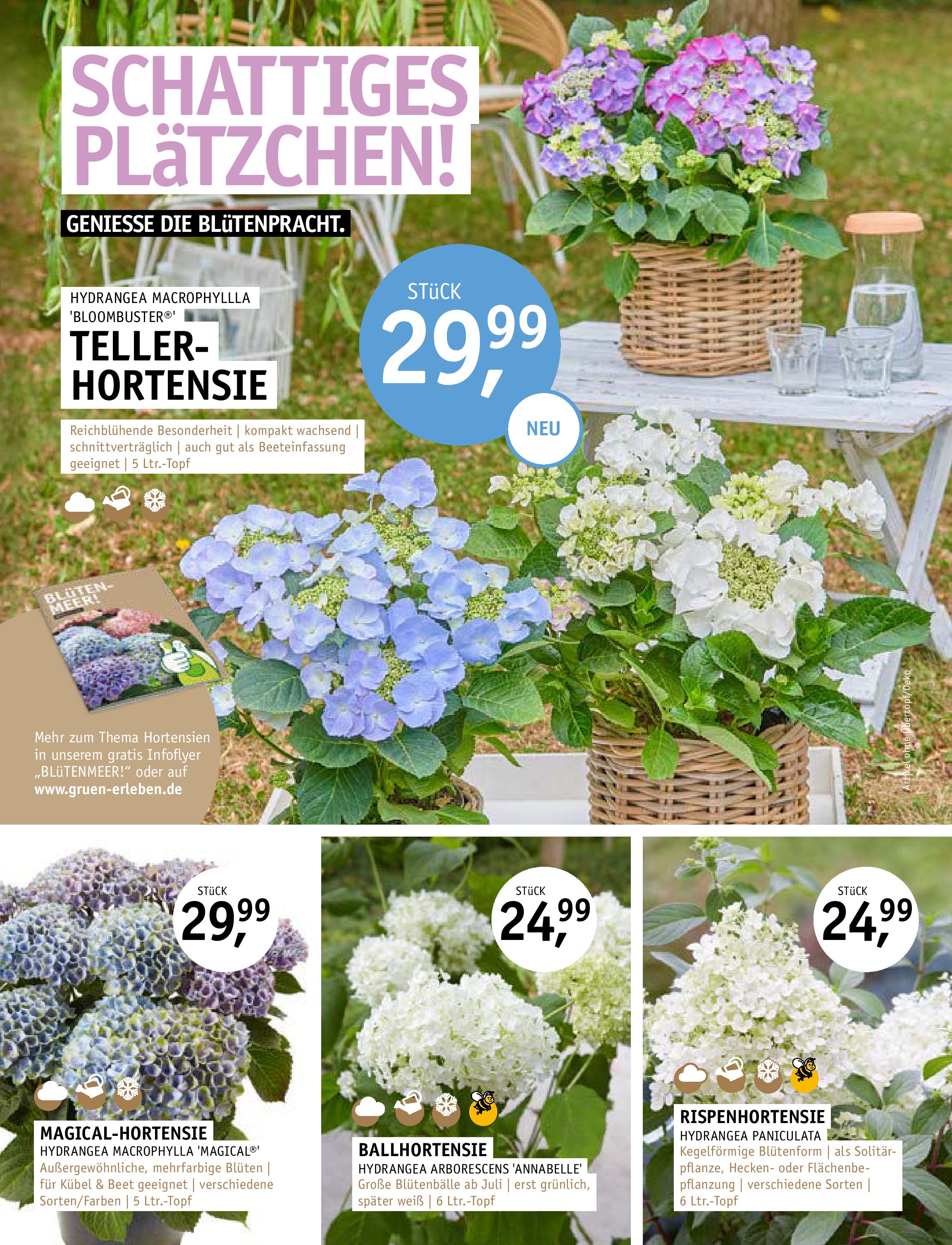 Gartencenter Stassen Pflanzen & Floristik aus Bergheim