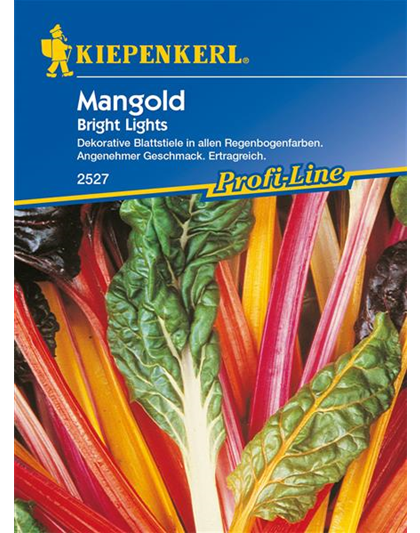 Blatt-Mangold 'Bright Lights'