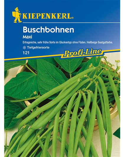 Busch-Bohne 'Maxi'