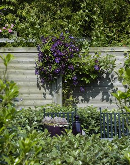 Zubehör-Gartenzäune und Sichtschutz