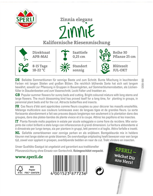 Garten-Zinnie 'Kalifornische Riesesn'