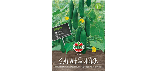 Salatgurke 'Lothar F1'