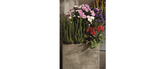 EIN KUNTERBUNTER HERBST!