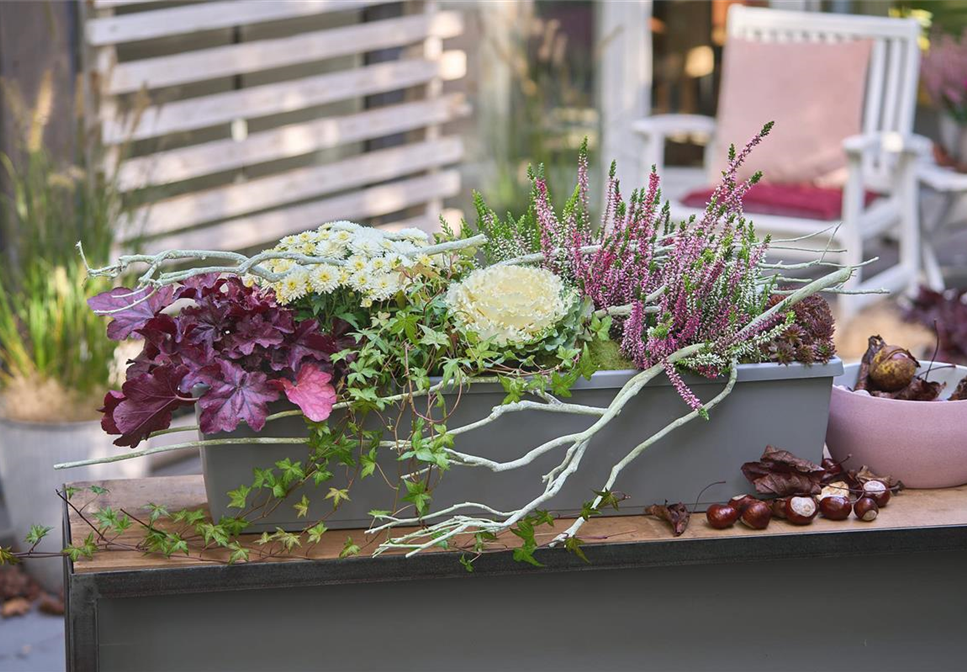 BUNT, BUNTER, HERBST! BUNT, BUNTER, HERBST!