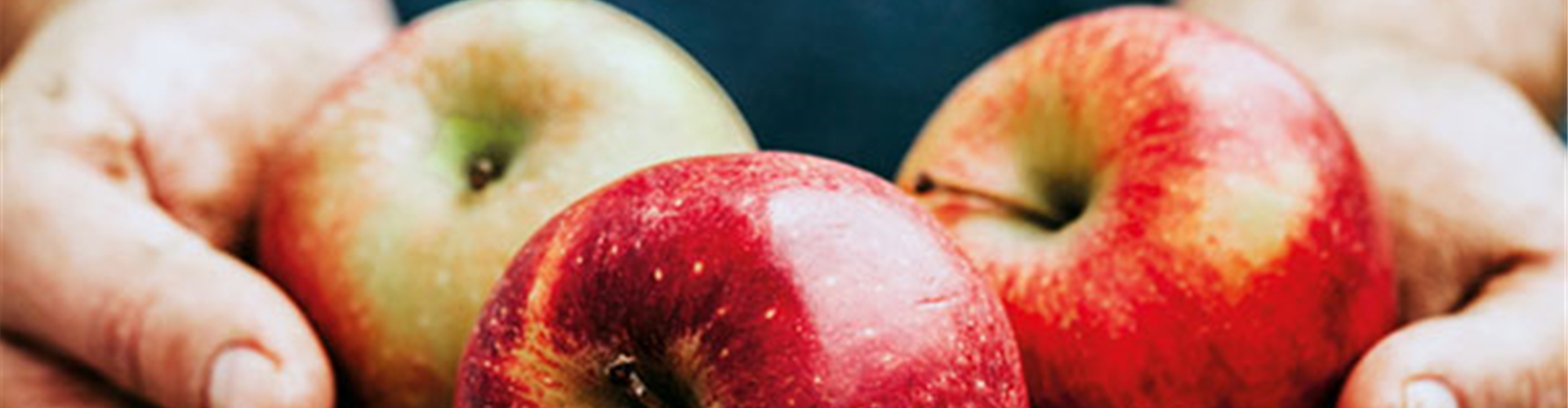 Obstpflanzen