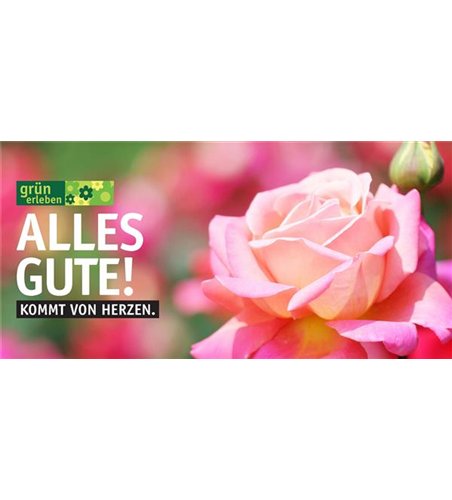 Versand Gutschein