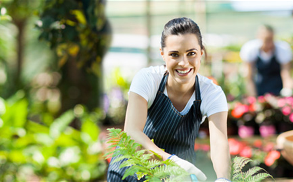 UNSER SERVICE FÜR SIE - Hier finden Sie unsere wichtigsten Dienstleistungen.