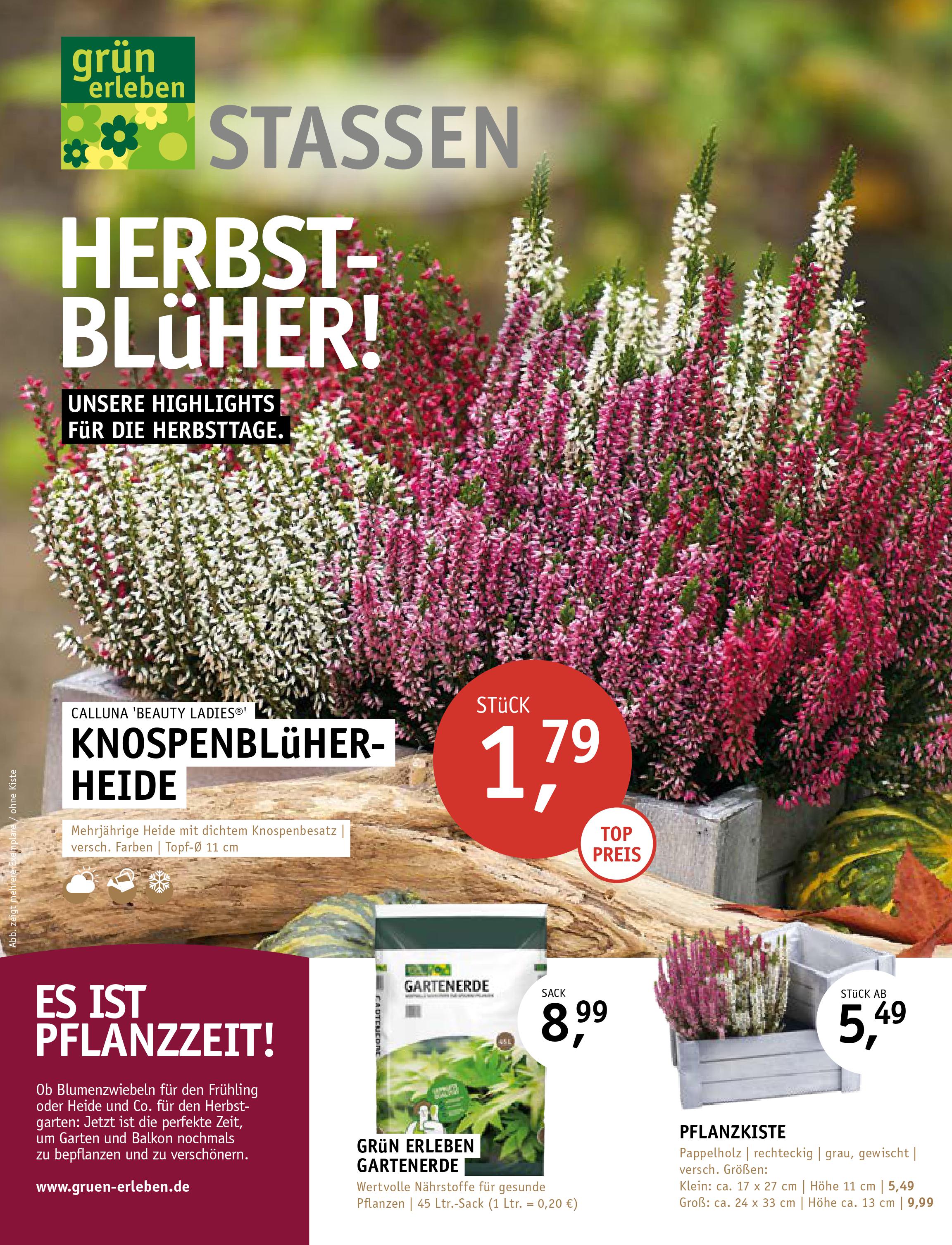Gartencenter Stassen Pflanzen & Floristik aus Bergheim