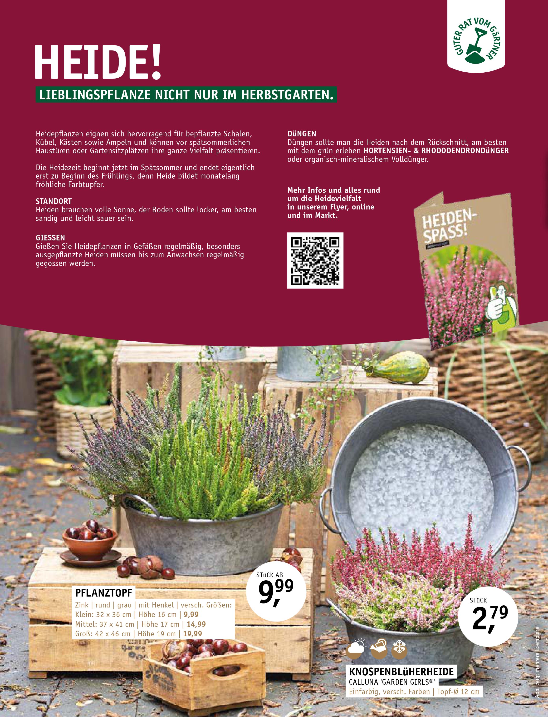 Gartencenter Stassen Pflanzen & Floristik aus Bergheim