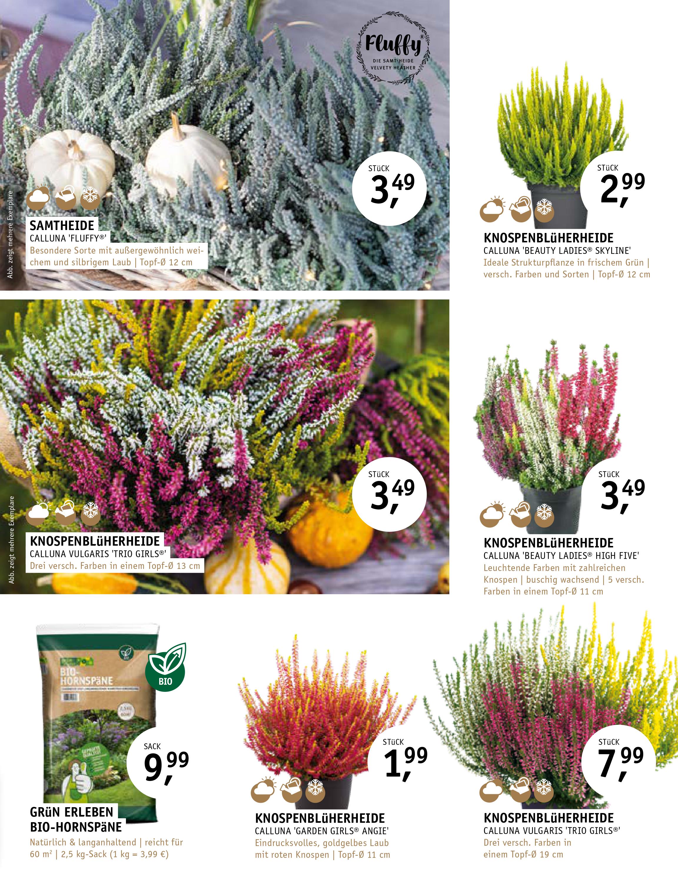 Gartencenter Stassen Pflanzen & Floristik aus Bergheim