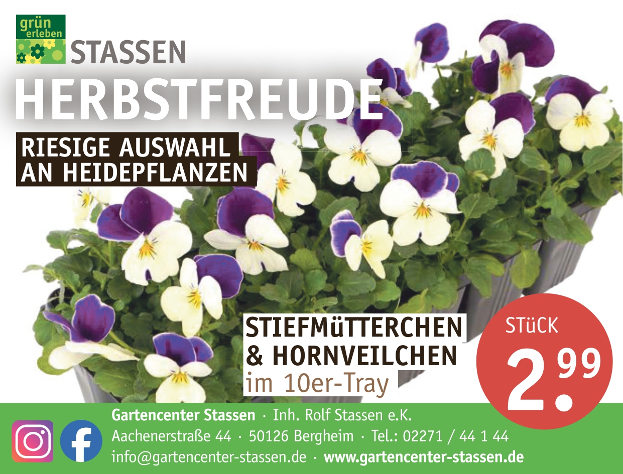 Gartencenter Stassen Pflanzen & Floristik aus Bergheim