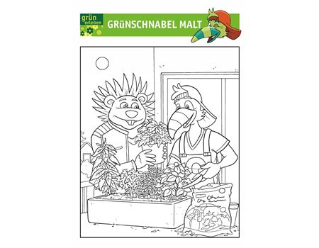 Grünschnabel Malvorlage 3 25