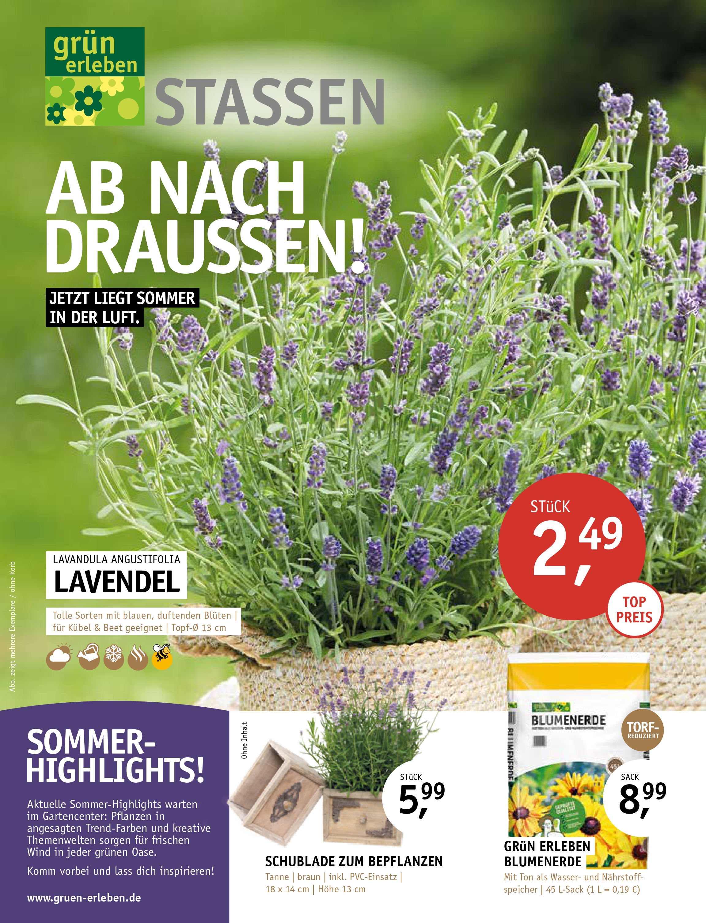Stassen (002)_page-0001.jpg