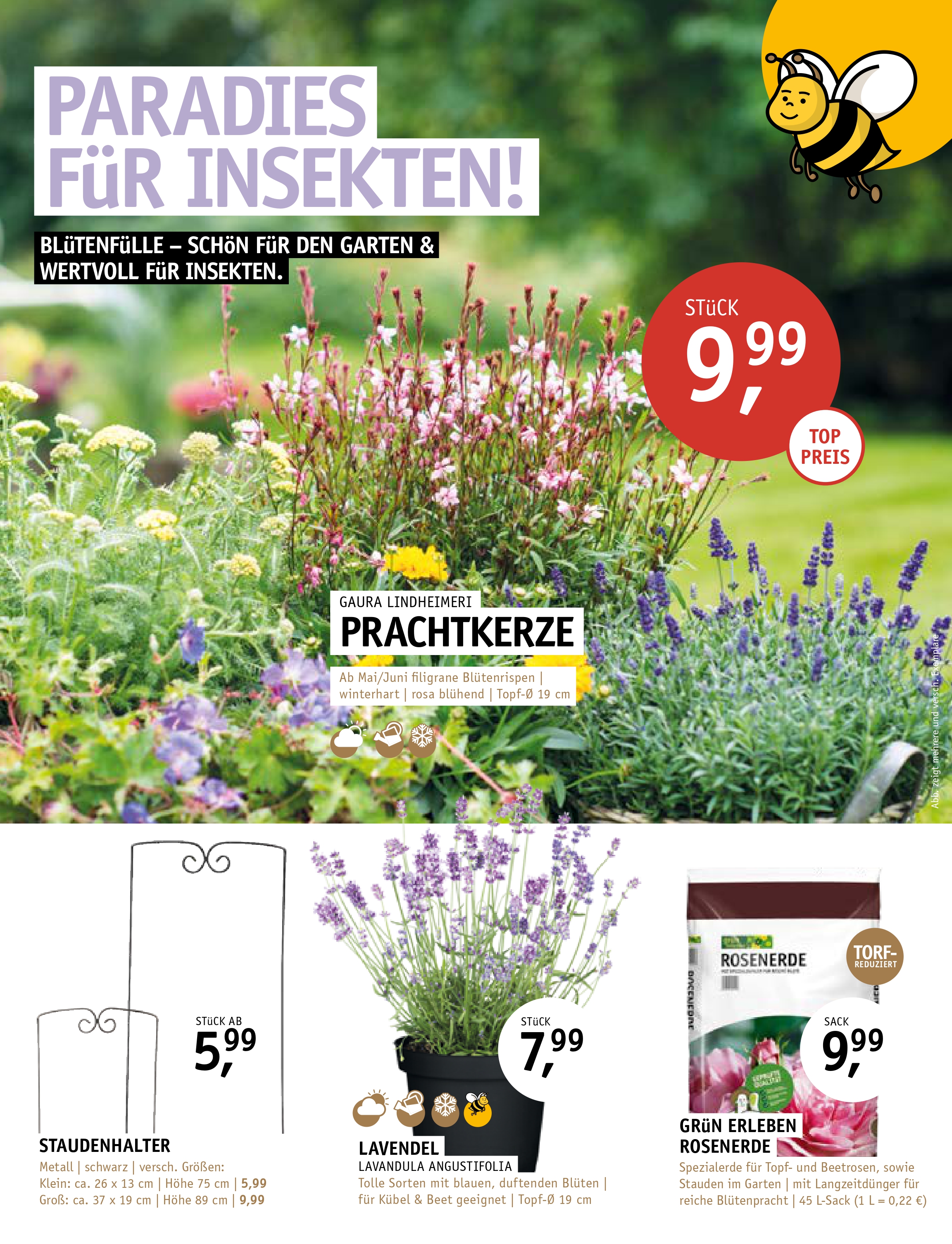 Stassen (002)_page-0002.jpg