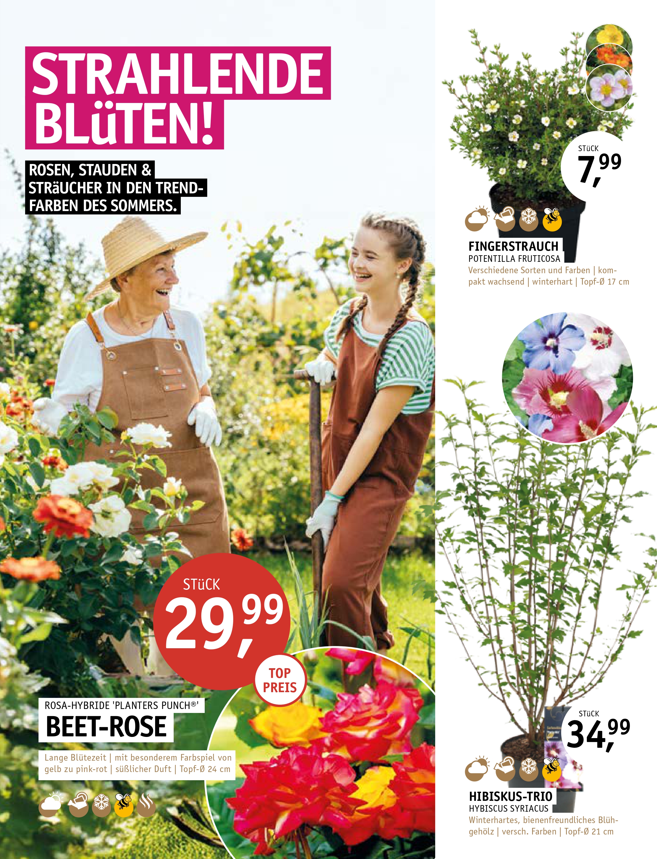 Stassen (002)_page-0005.jpg
