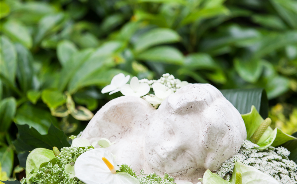 Allerheiligen - Sonderöffnungszeiten am Feiertag