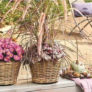 PFLANZ DIR GUTE HERBSTLAUNE!