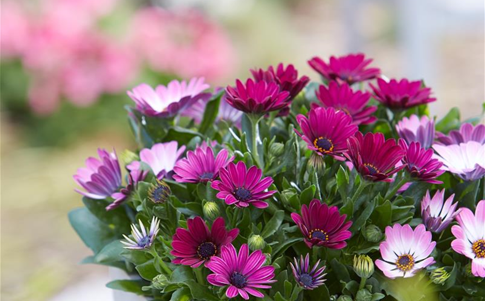 Saisonerlebnis - Ideen für drinnen und draußen