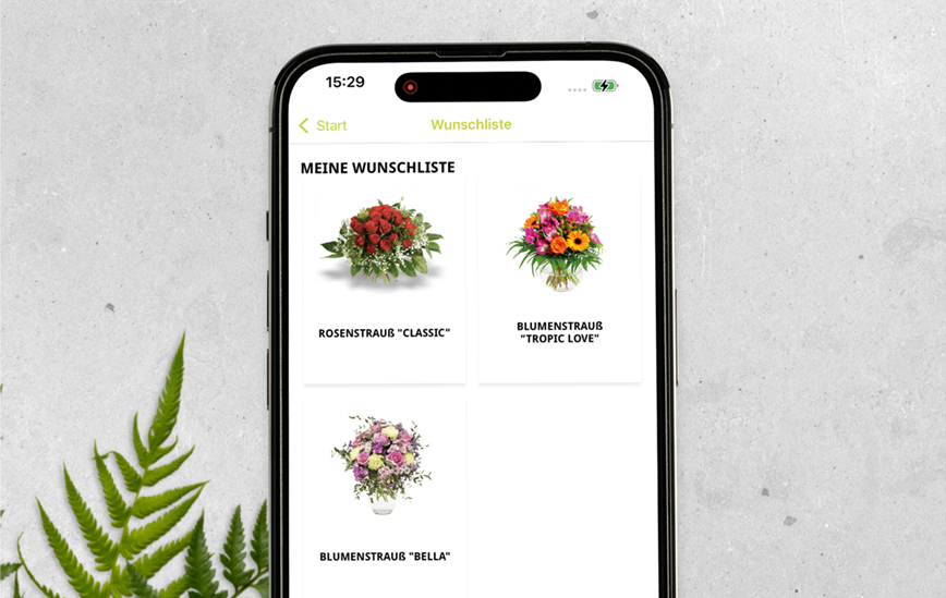 GE_Stassen-App_Mockup_Wunschliste.png