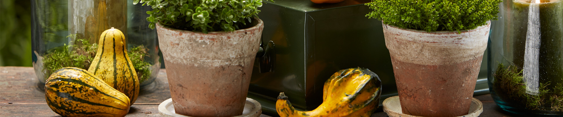 MUST-HAVES FÜR DEN HERBST!