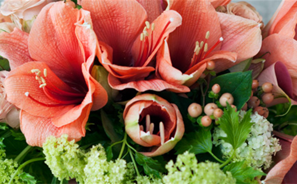 FLEUROP - Wir vermitteln Blumenaufträge weltweit.