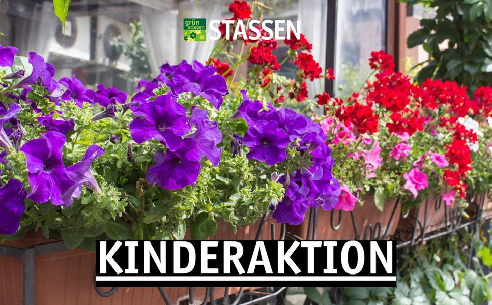 Kinderaktion am 15. Mai - Bepflanzung von Balkonkästen