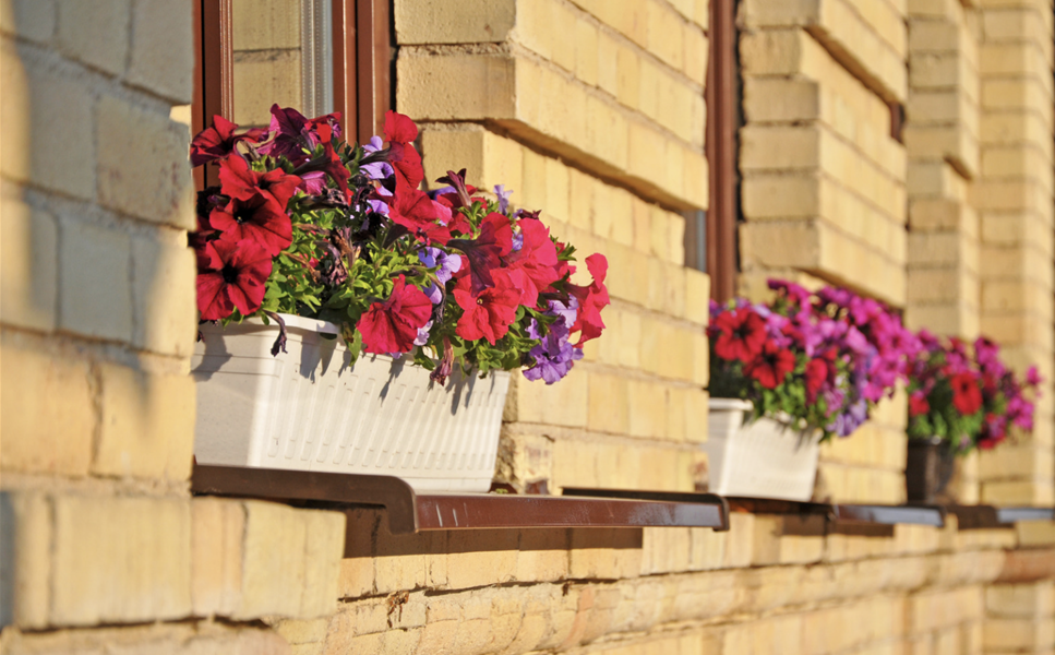 Kinderaktion am 15. Mai - Bepflanzung von Balkonkästen