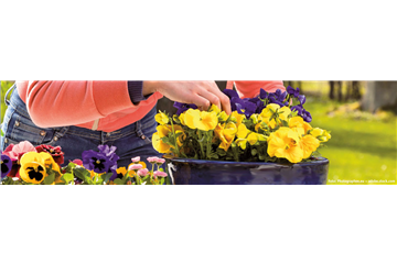 BUNTE FRÜHLINGSBLÜHER FÜR DRAUßEN 