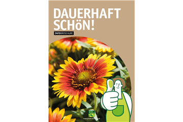 Stauden - wiederkehrende Blumenoasen