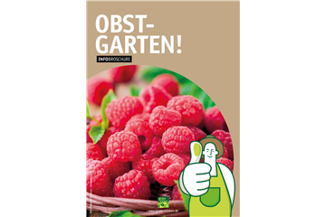 OBST - LECKER, DEKORATIV UND TOLL KOMBINIERBAR!