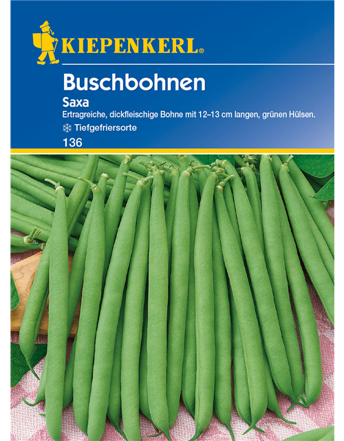 Busch-Bohne 'Saxa'