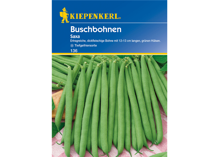 Busch-Bohne 'Saxa'