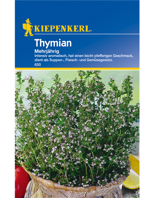 Echter Thymian