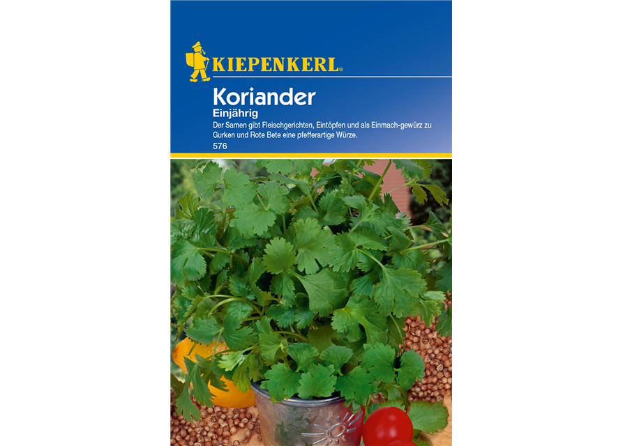 Koriander