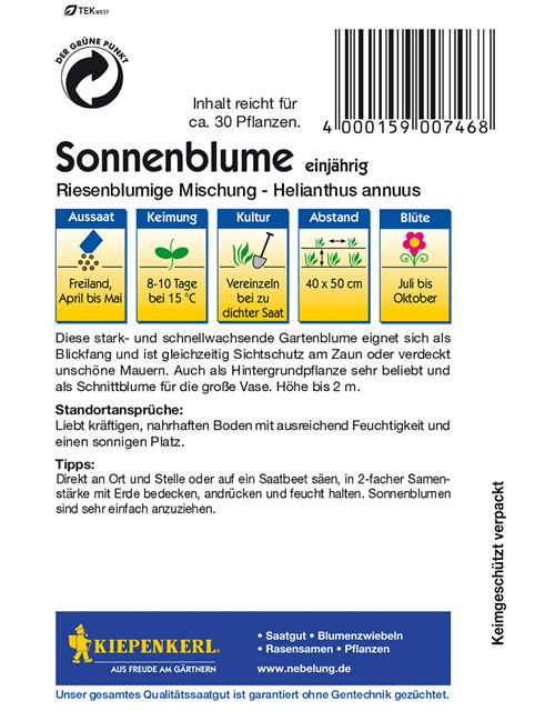 Sonnenblume 'Riesenblumige'