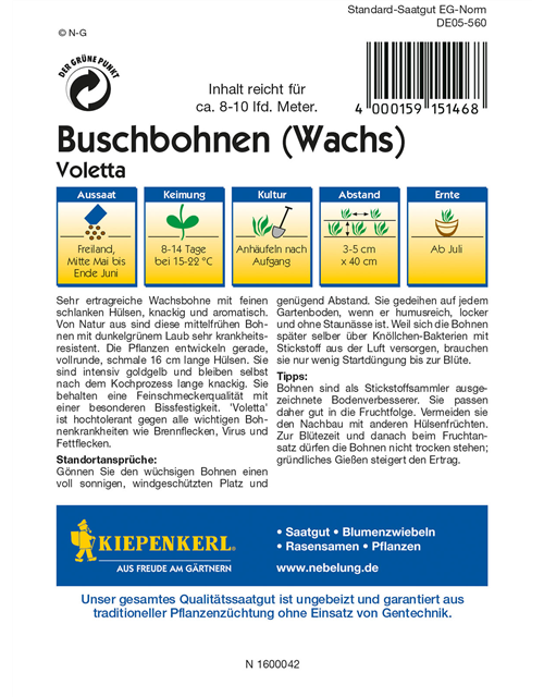 Wachs-Busch-Bohne 'Voletta'