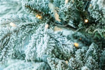 LICHTER ZU WEIHNACHTEN