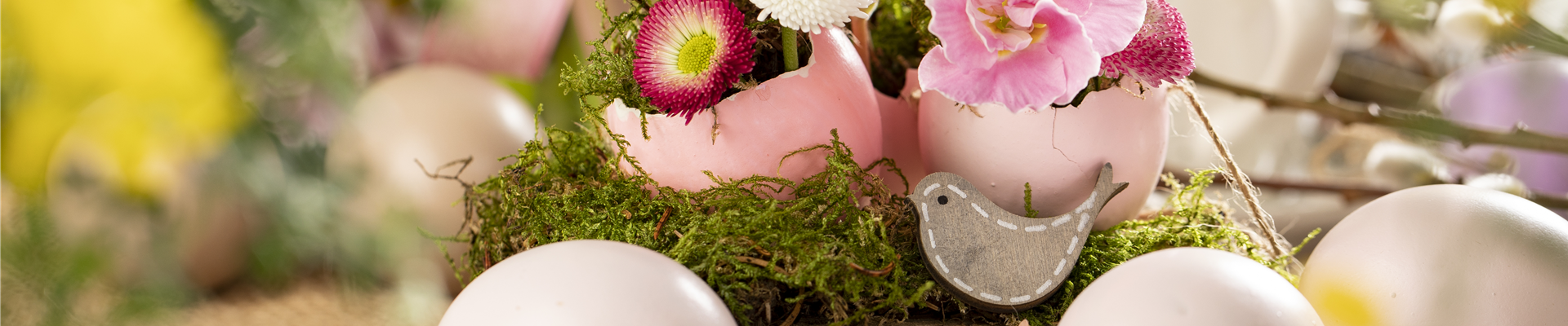 Osterambiente mit Bellis