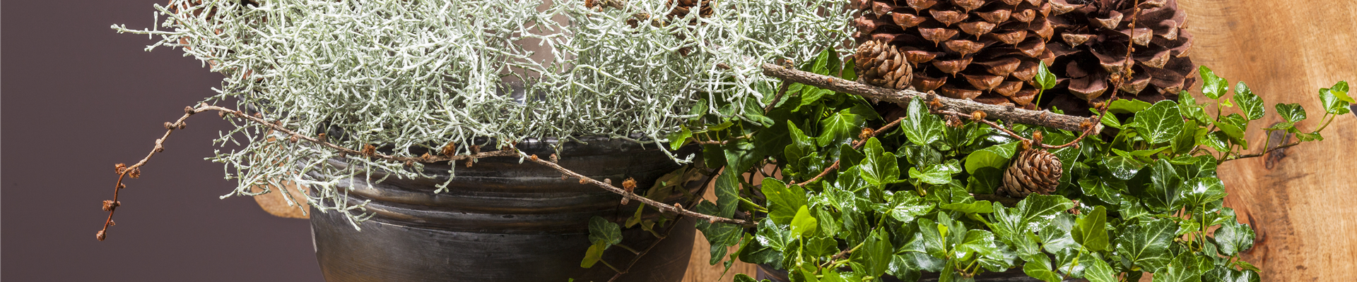 Weihnachtliche Tischdeko